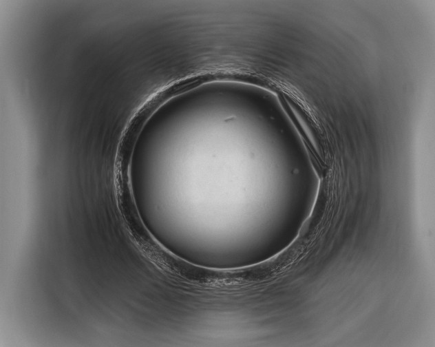 X0000116390680200912091435