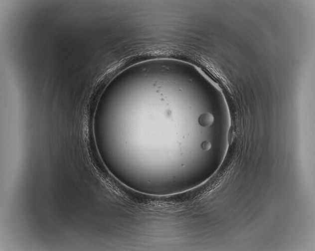 X0000116390681200912091435