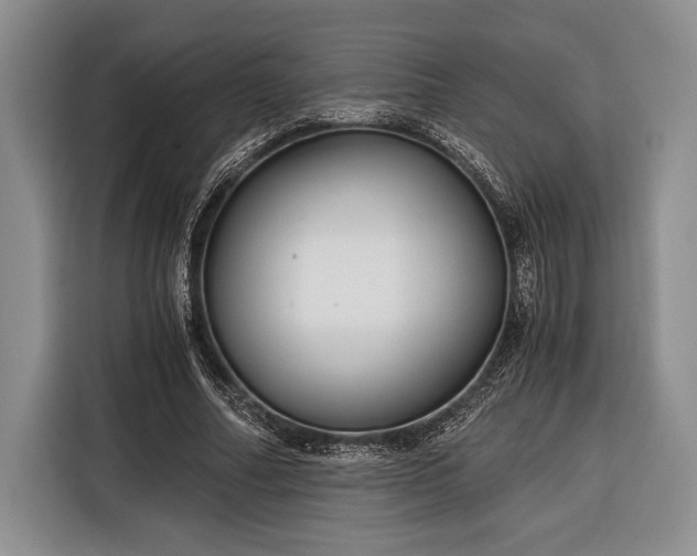 X0000116390682200912091435