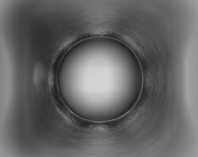 X0000116390683200912091435
