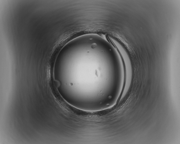X0000116390685200912091435
