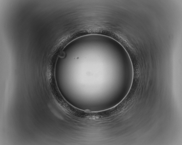 X0000116390687200912091435