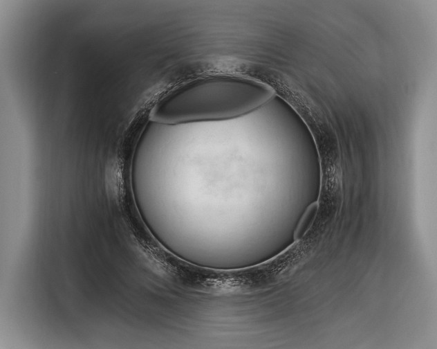 X0000116390688200912091435