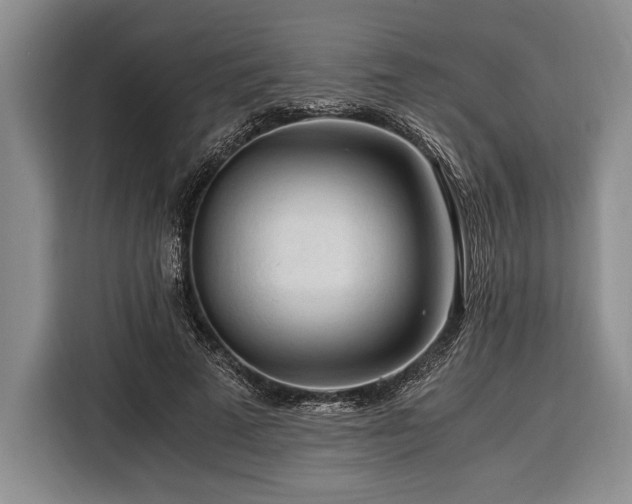 X0000116390689200912091435