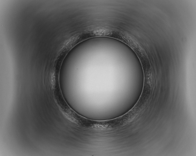 X0000116390690200912091435