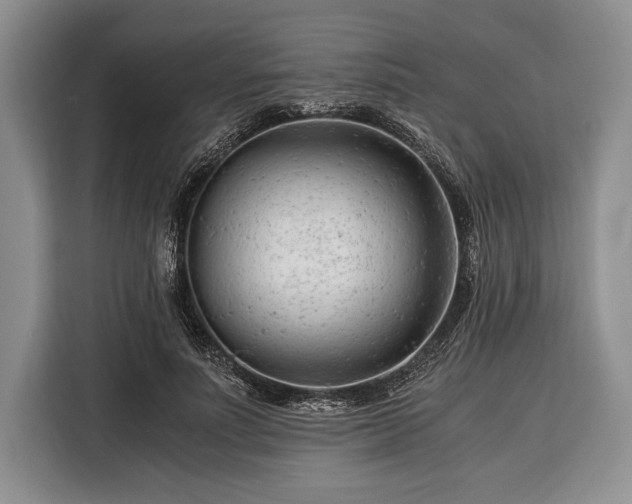 X0000116390691200912091435