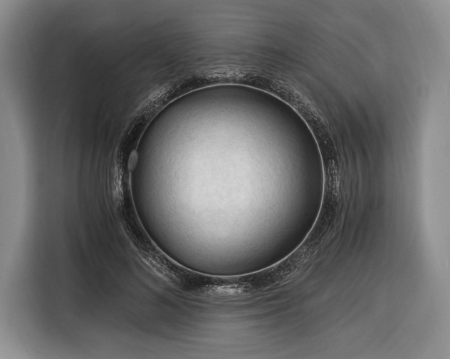 X0000116390692200912091435