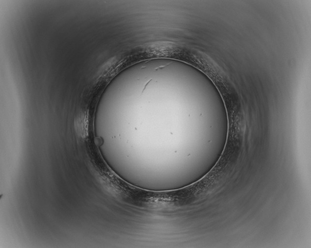 X0000116390694200912091435