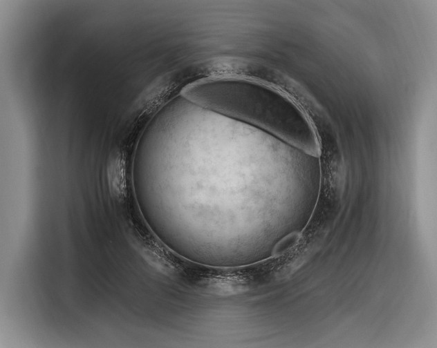 X0000116390696200912091435