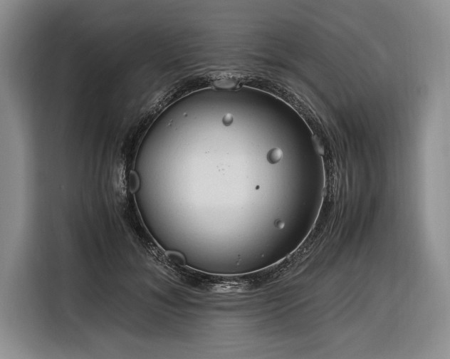 X0000116390700200912091435