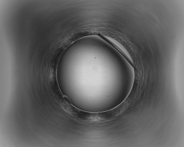 X0000116390704200912091435