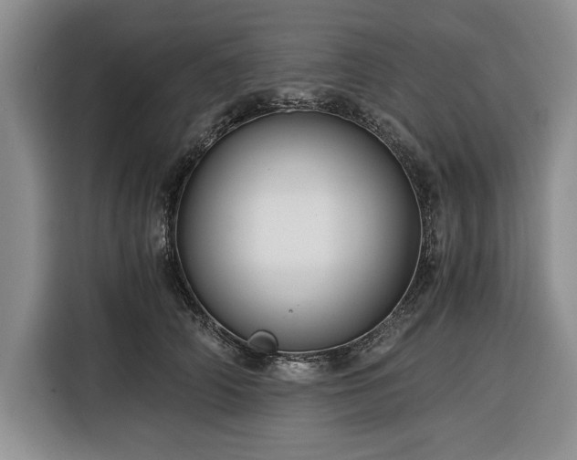 X0000116390706200912091435