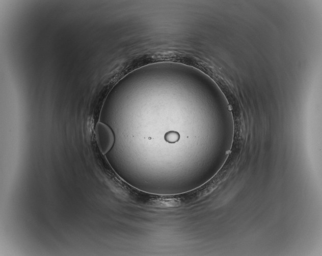 X0000116390711200912091434