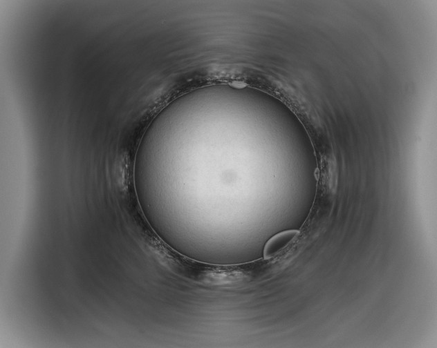 X0000116390712200912091434
