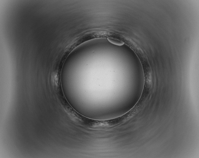 X0000116390715200912091434