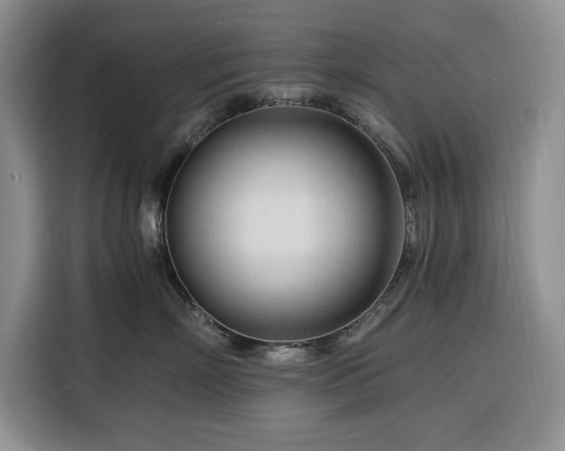 X0000116390718200912091434