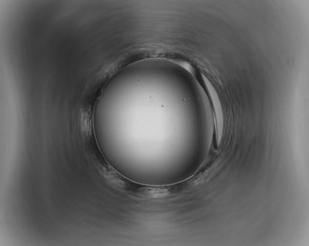 X0000116390719200912091434