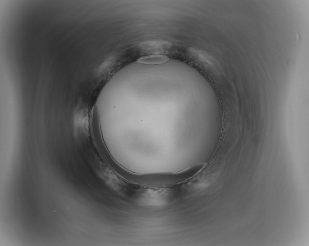 X0000116390720200912091434