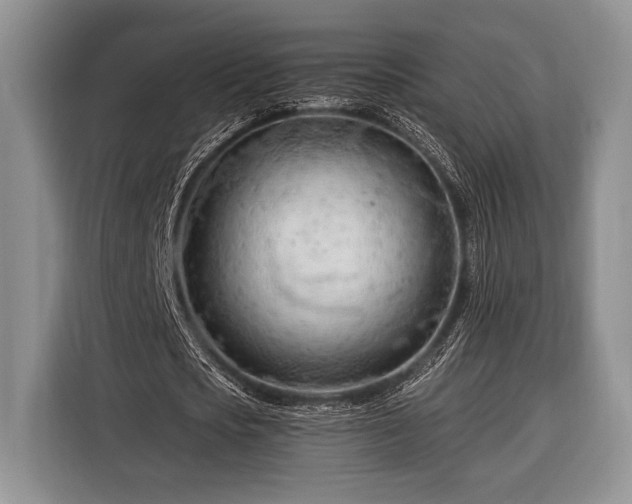 X0000116390721200912091434