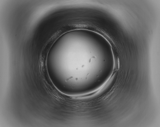 X0000116390723200912091434