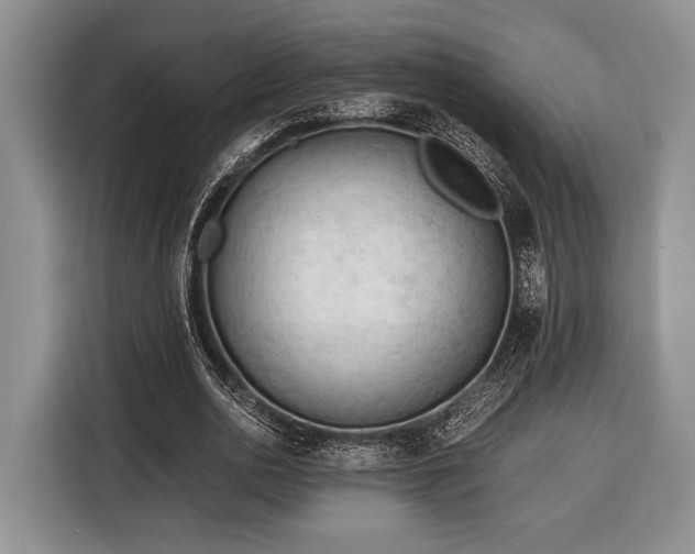 X0000116390726200912091434