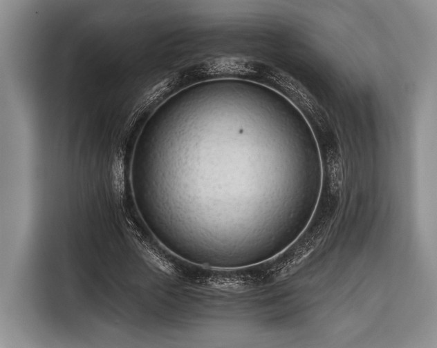 X0000116390729200912091434