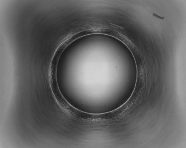 X0000116390730200912091434