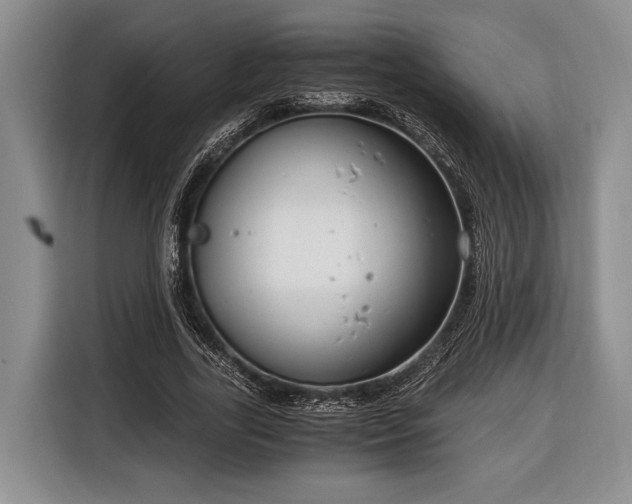X0000116390731200912091434