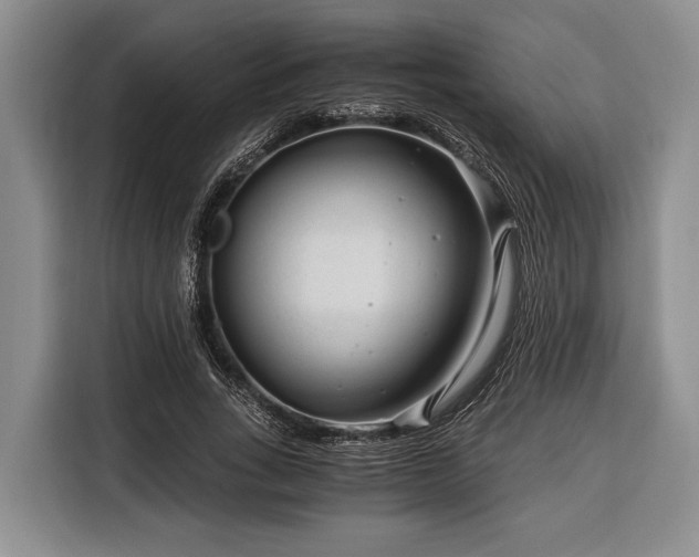 X0000116390735200912091434