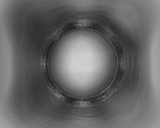 X0000116390737200912091434