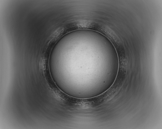 X0000116390738200912091434