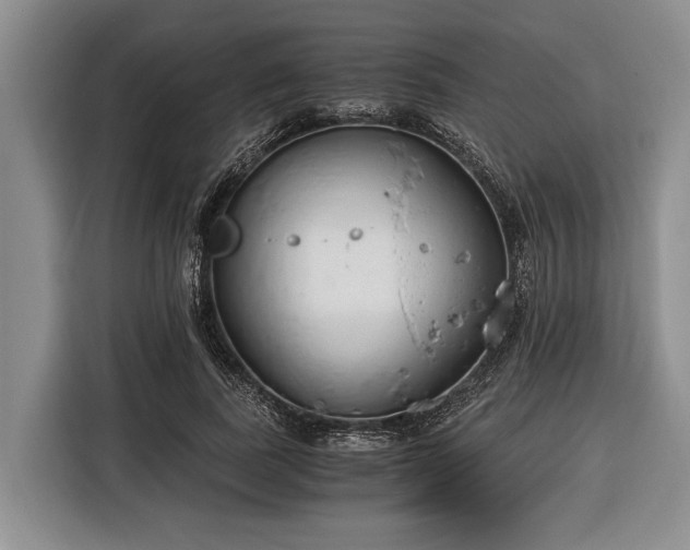 X0000116390739200912091434
