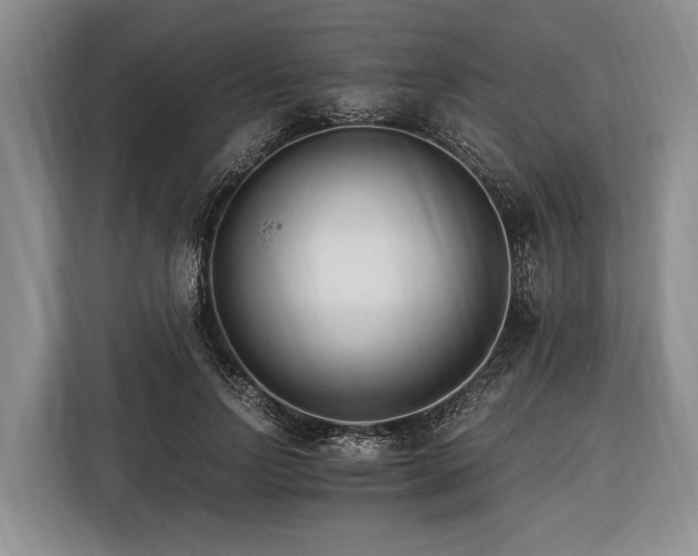 X0000116390742200912091434
