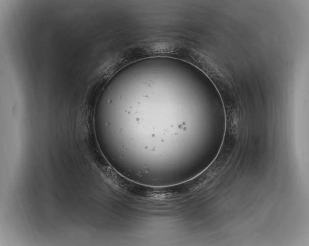 X0000116390746200912091434
