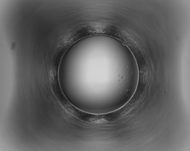 X0000116390747200912091434