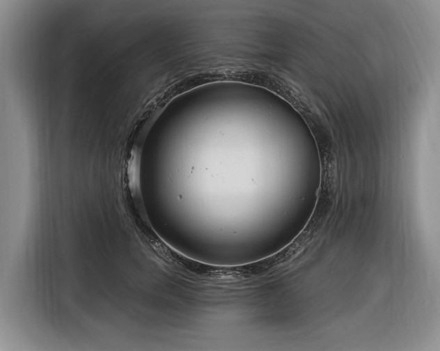 X0000116390750200912091434