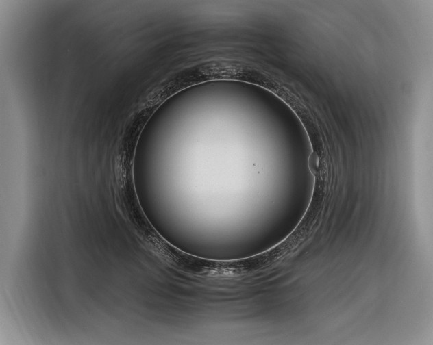 X0000116390751200912091434