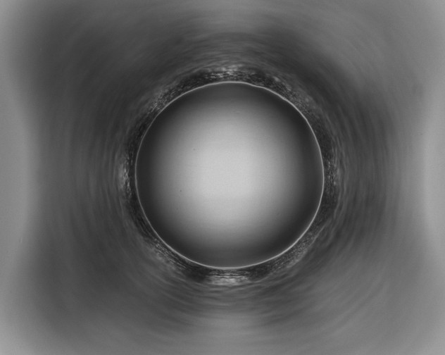 X0000116390754200912091434