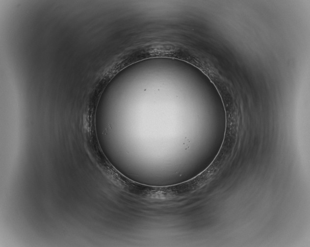 X0000116390755200912091434