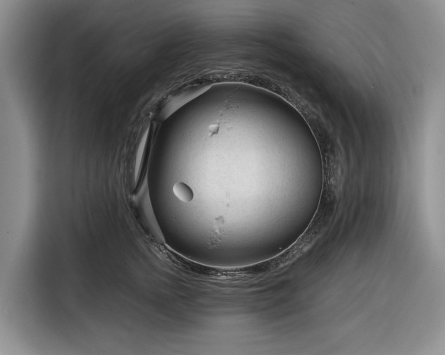 X0000116390758200912091434