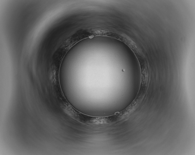 X0000116390762200912091434