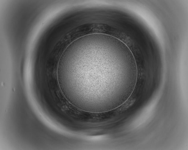 X0000116390765200912091434