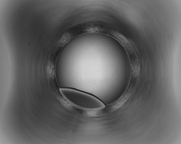 X0000116390766200912091434