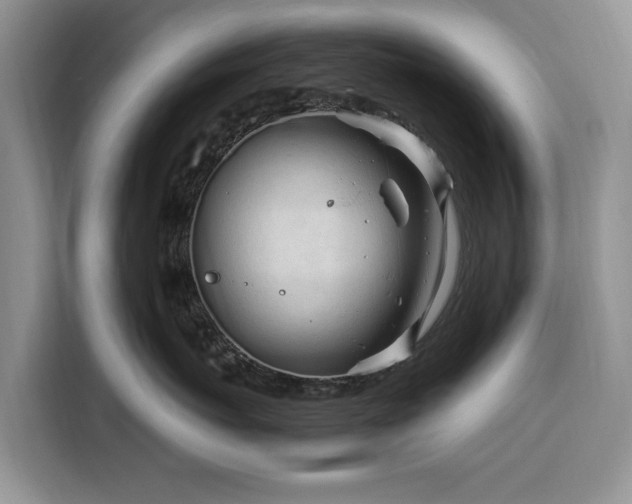 X0000116390767200912091434