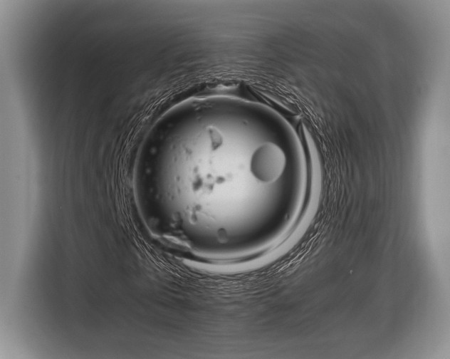 X0000116390769200912091434