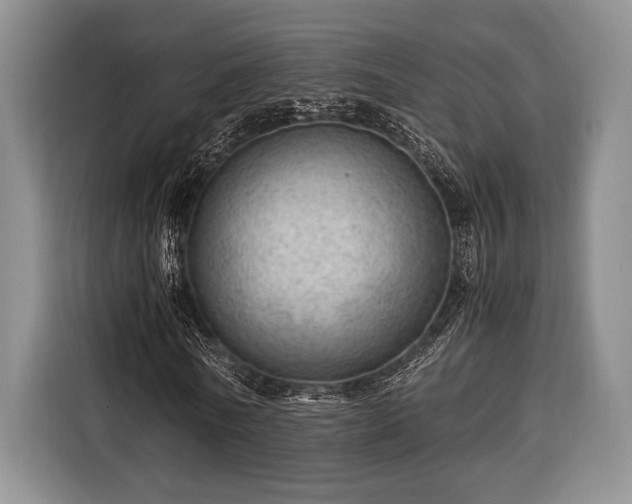 X0000116390770200912091434
