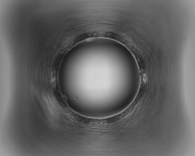 X0000116390771200912091434