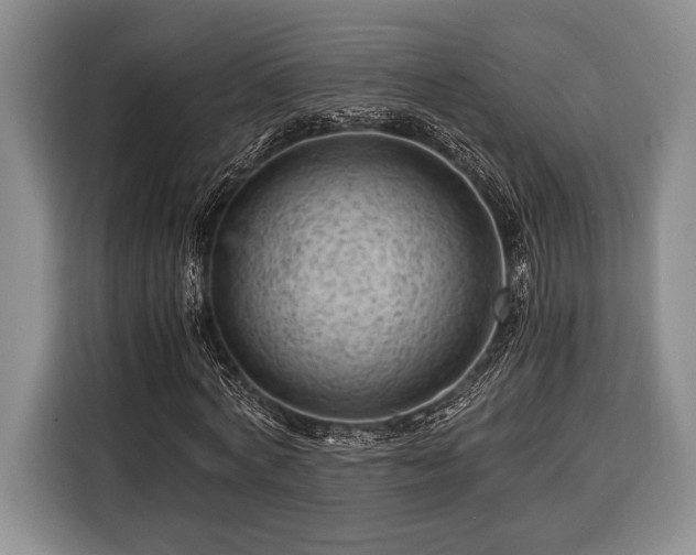 X0000116390772200912091434