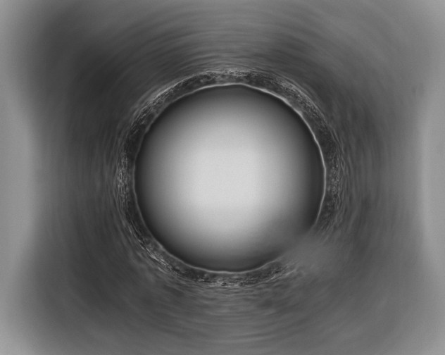 X0000116390773200912091434