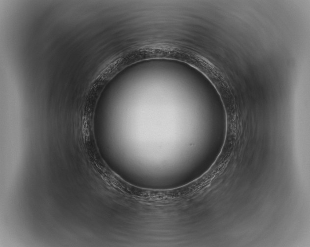 X0000116390774200912091434